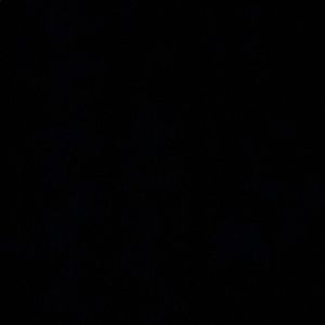 Meet your Posher, Stephano